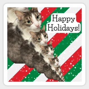 Happy Holidays Cat Sticker